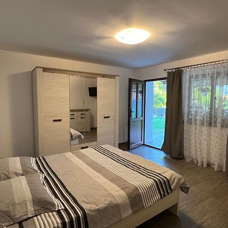 Casa Andrei Villa Cîrţişoara Екстериор снимка
