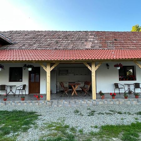 Casa Andrei Villa Cîrţişoara Екстериор снимка