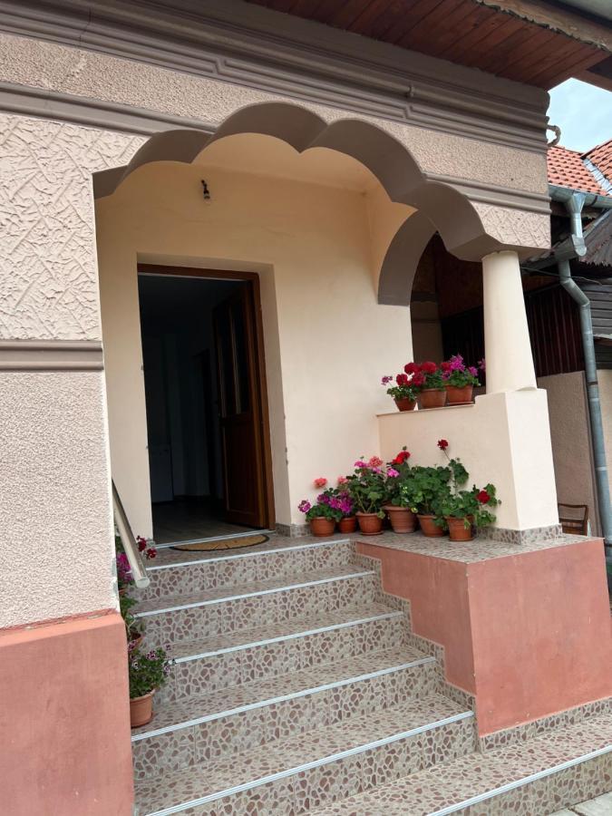 Casa Andrei Villa Cîrţişoara Екстериор снимка