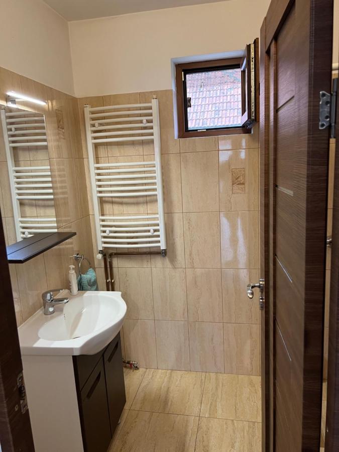 Casa Andrei Villa Cîrţişoara Екстериор снимка