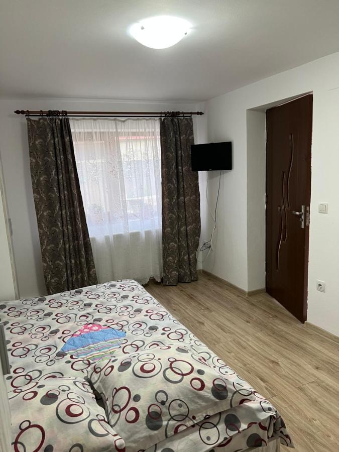 Casa Andrei Villa Cîrţişoara Екстериор снимка