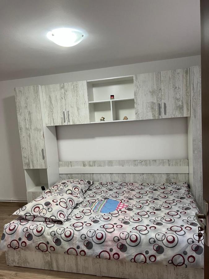 Casa Andrei Villa Cîrţişoara Екстериор снимка