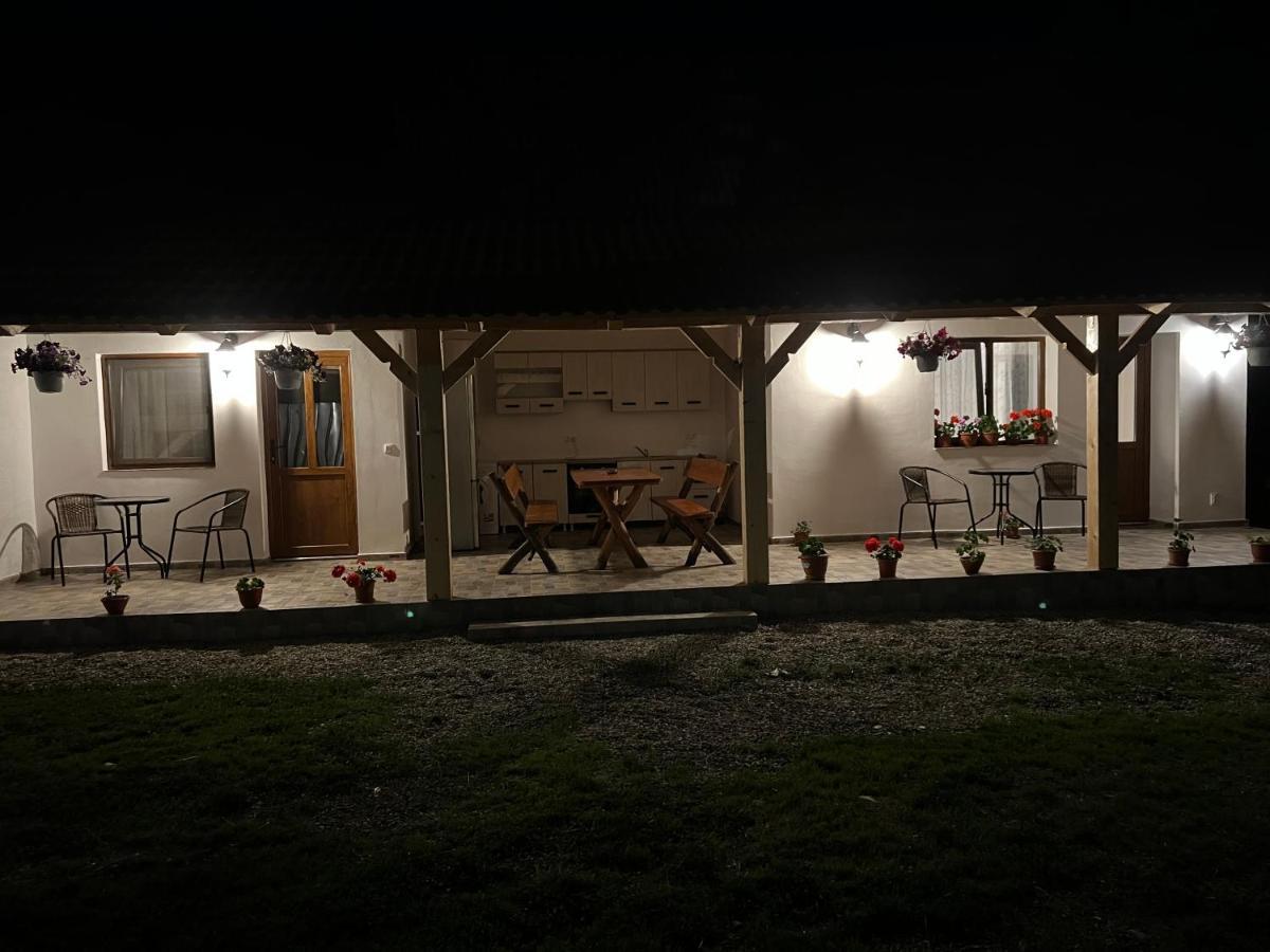 Casa Andrei Villa Cîrţişoara Екстериор снимка