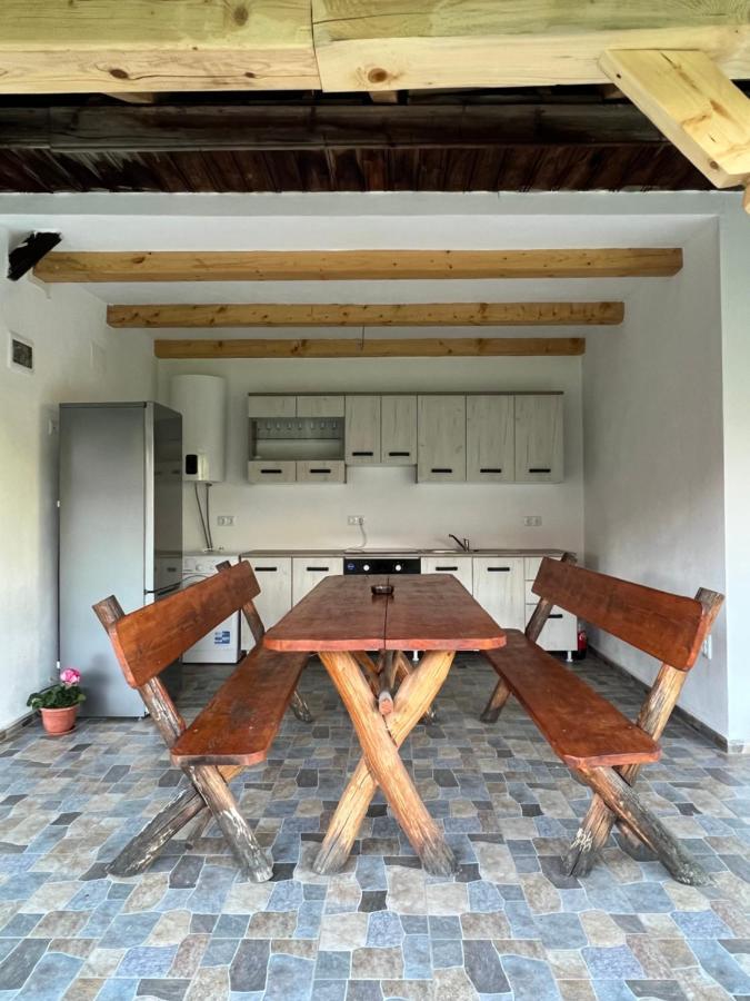 Casa Andrei Villa Cîrţişoara Екстериор снимка