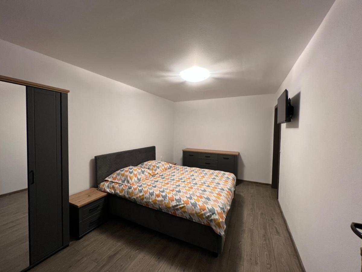 Casa Andrei Villa Cîrţişoara Екстериор снимка