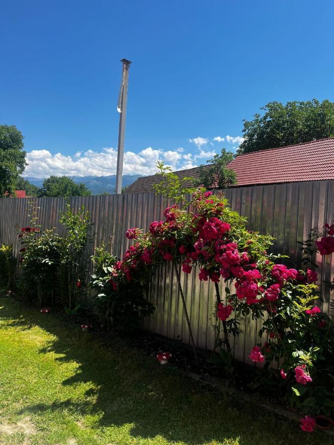 Casa Andrei Villa Cîrţişoara Екстериор снимка
