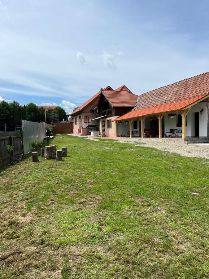 Casa Andrei Villa Cîrţişoara Екстериор снимка