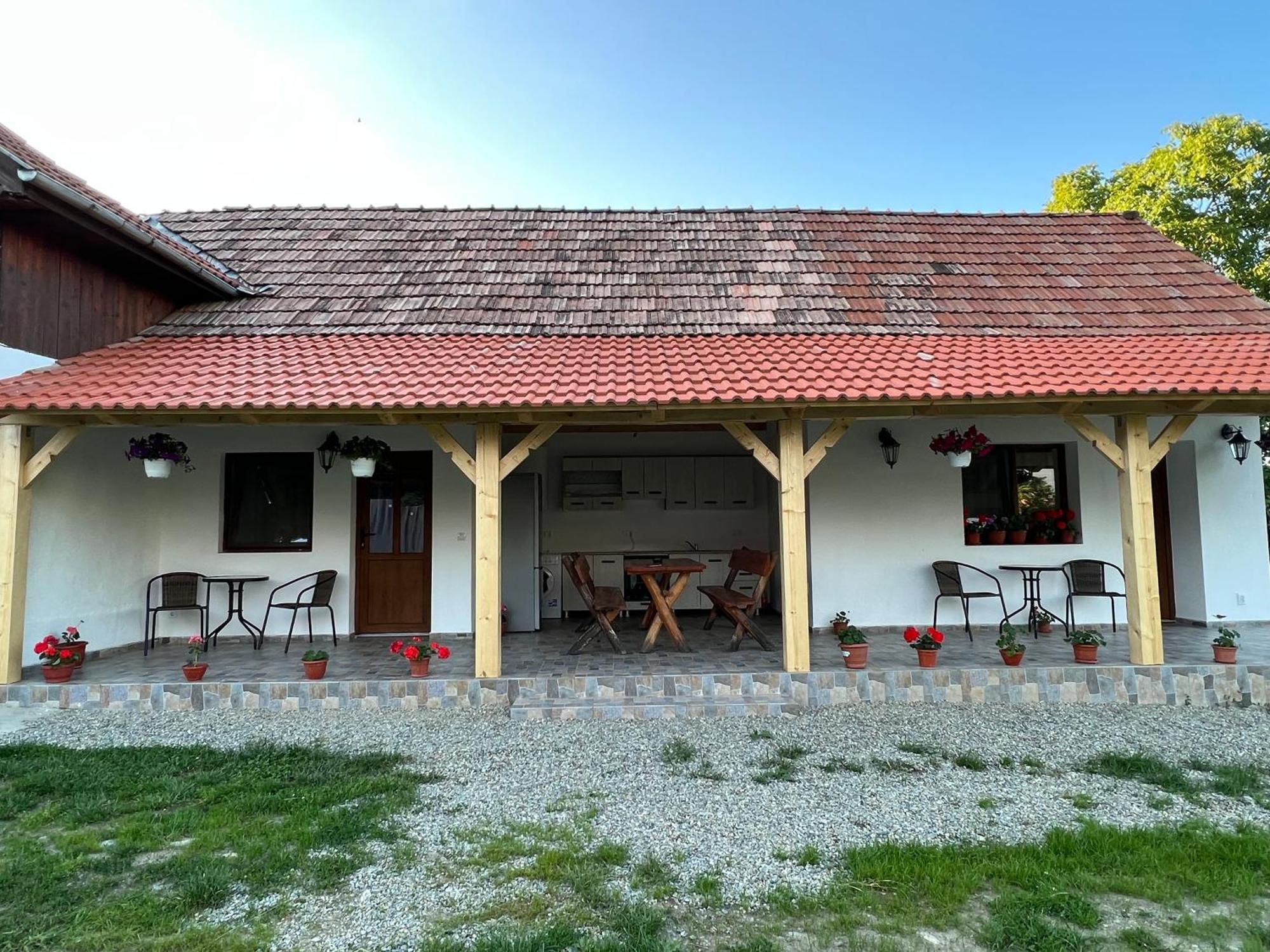 Casa Andrei Villa Cîrţişoara Екстериор снимка